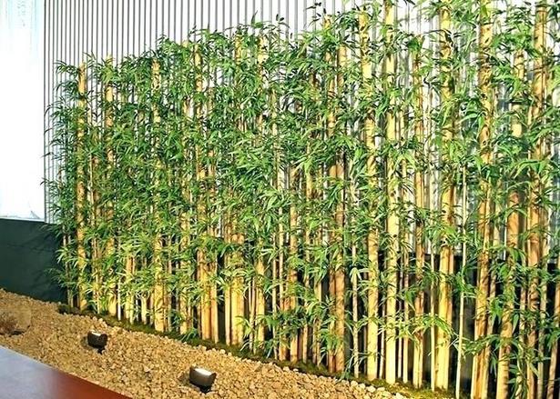 bamboo-landscaping-ideas-56_18 Идеи за озеленяване на бамбук