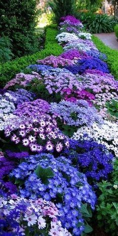 beautiful-flower-beds-pictures-43_4 Красиви цветни лехи снимки