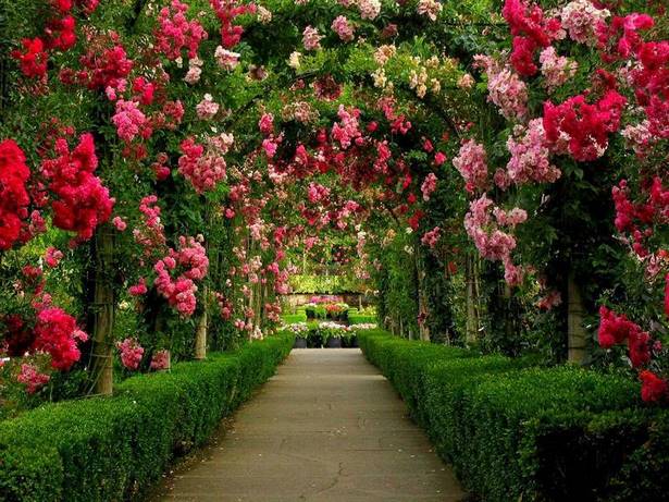 beautiful-garden-pic-93_15 Красива градинска снимка