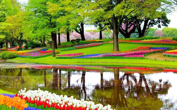 beautiful-garden-pic-93_3 Красива градинска снимка