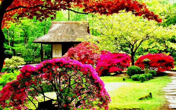 beautiful-gardens-and-houses-with-flowers-73_8 Красиви градини и къщи с цветя