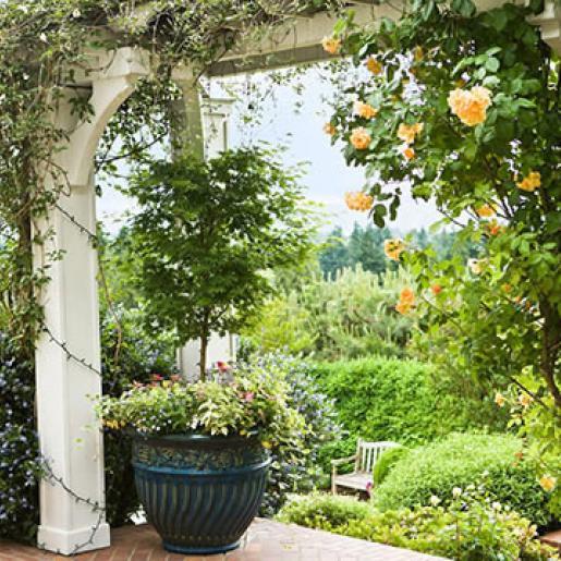 beautiful-home-gardens-pictures-80_12 Красиви домашни градини снимки