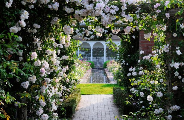 beautiful-home-gardens-pictures-80_4 Красиви домашни градини снимки