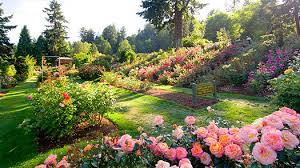beautiful-simple-gardens-20_10 Красиви прости градини