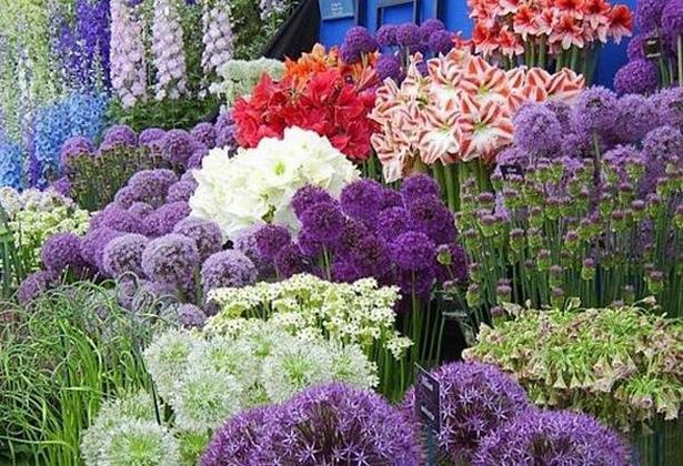 beautiful-yards-with-flowers-87_7 Красиви дворове с цветя