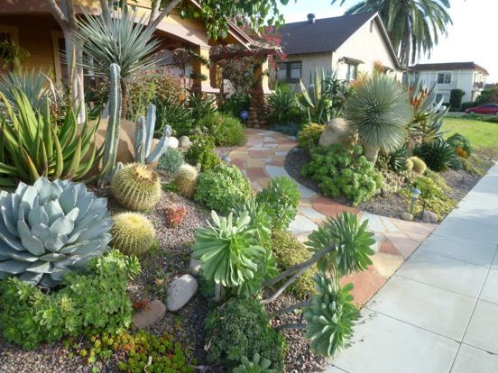 cactus-landscaping-ideas-24_12 Идеи за озеленяване на кактуси