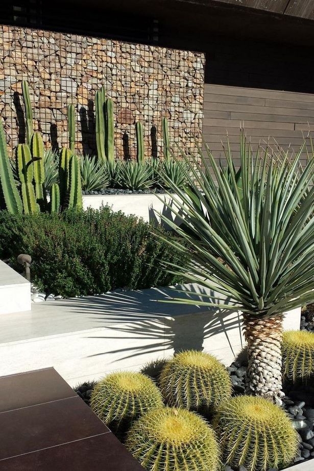 cactus-landscaping-ideas-24_14 Идеи за озеленяване на кактуси
