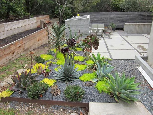 cactus-landscaping-ideas-24_19 Идеи за озеленяване на кактуси
