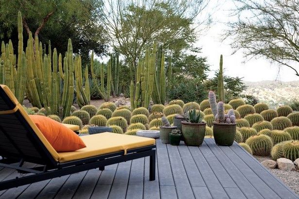 cactus-landscaping-ideas-24_6 Идеи за озеленяване на кактуси