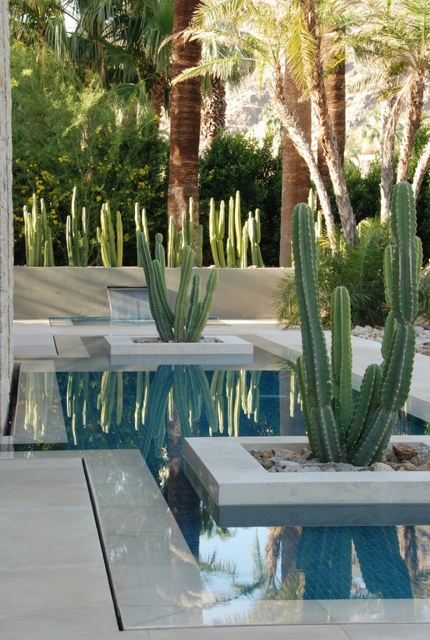 cactus-landscaping-ideas-24_8 Идеи за озеленяване на кактуси