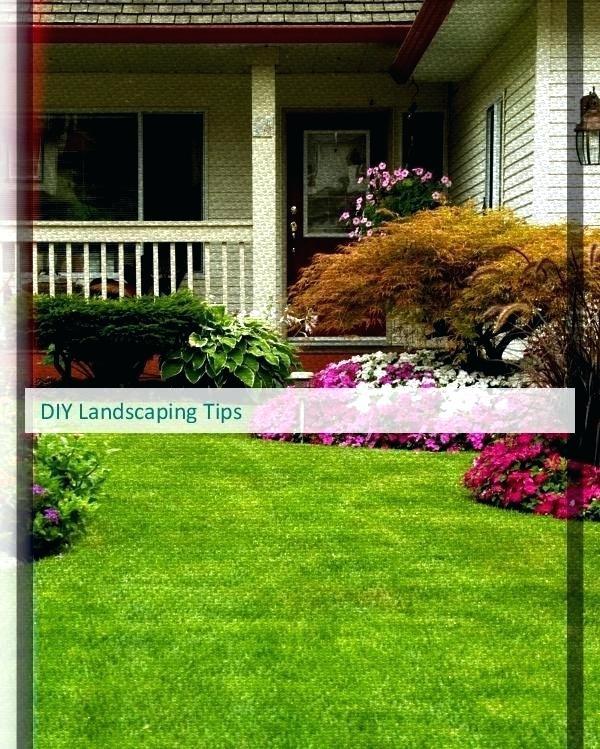 cheap-diy-backyard-landscaping-ideas-53_5 Евтини идеи за озеленяване на задния двор