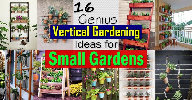 cheap-garden-designs-for-small-gardens-46_16 Евтини градински дизайни за малки градини