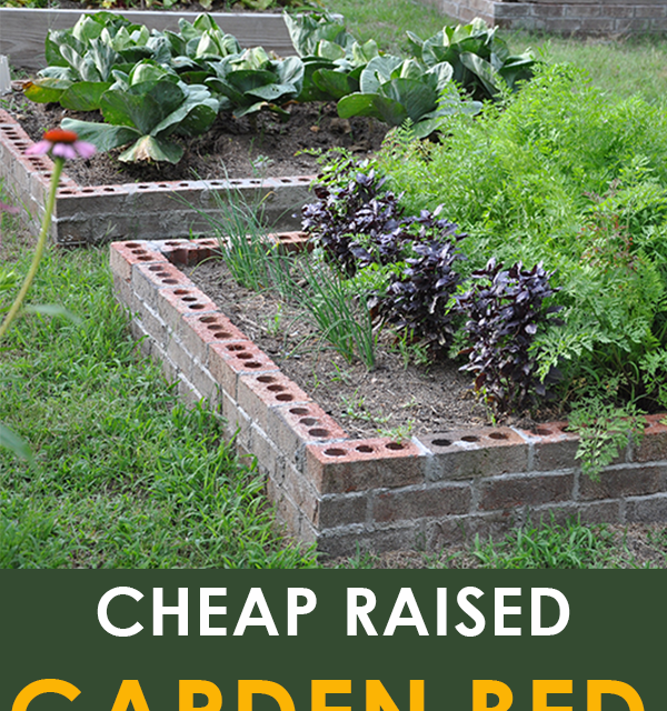 cheap-garden-48 Евтина градина
