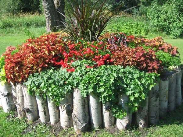 cheap-ideas-for-flower-beds-91_14 Евтини идеи за цветни лехи