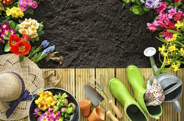 do-up-your-garden-cheap-36_16 Направете вашата градина евтина