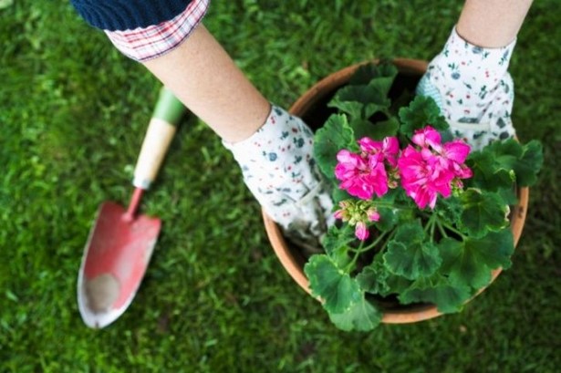 do-up-your-garden-cheap-36_2 Направете вашата градина евтина