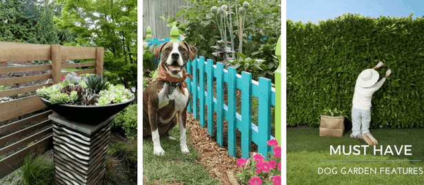 dog-friendly-yard-ideas-60 Куче приятелски двор идеи