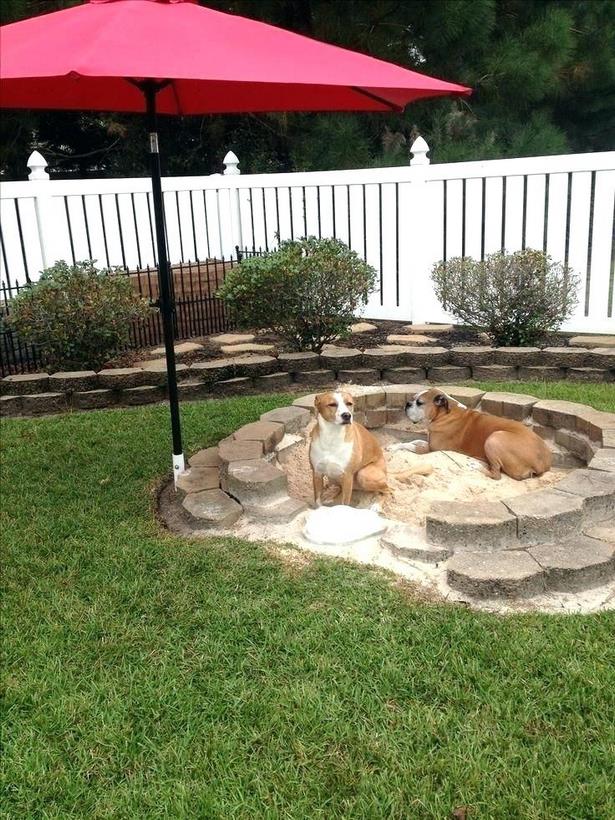 dog-friendly-yard-ideas-60_4 Куче приятелски двор идеи