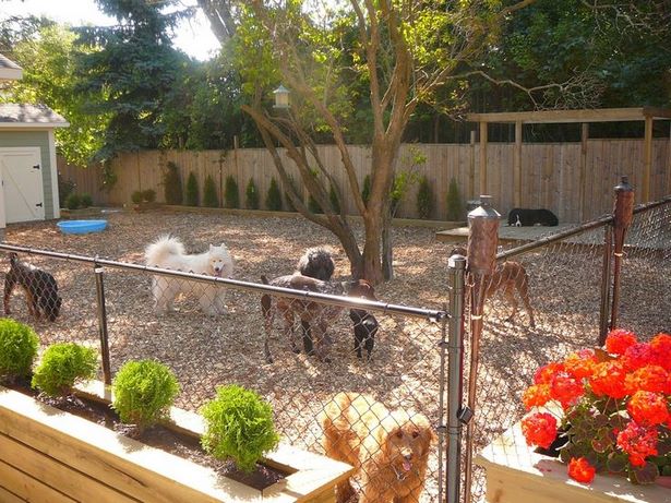 dog-friendly-yard-ideas-60_5 Куче приятелски двор идеи