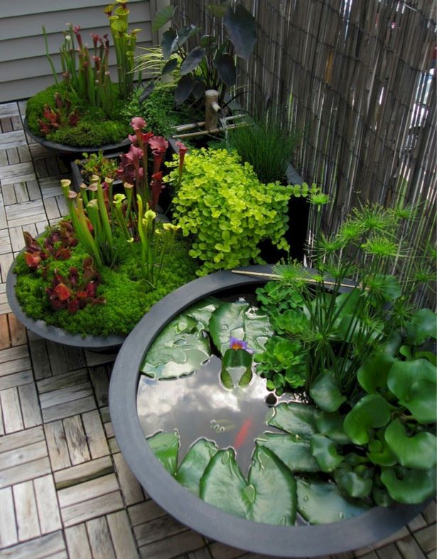 easy-diy-backyard-landscaping-54_7 Лесно озеленяване на задния двор