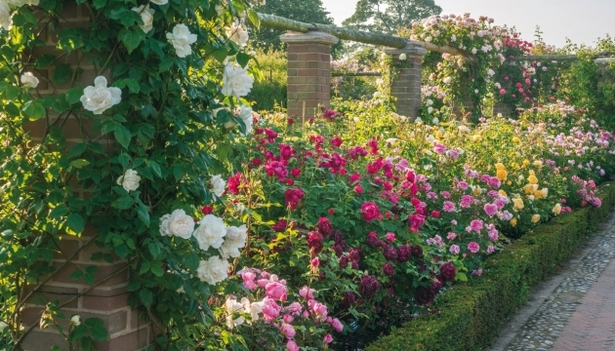 english-border-garden-design-12_10 Английски гранична градина дизайн