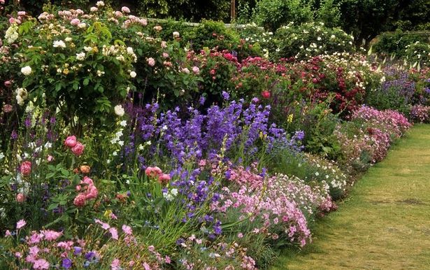 english-garden-border-ideas-19_2 Английски идеи за граници на градината