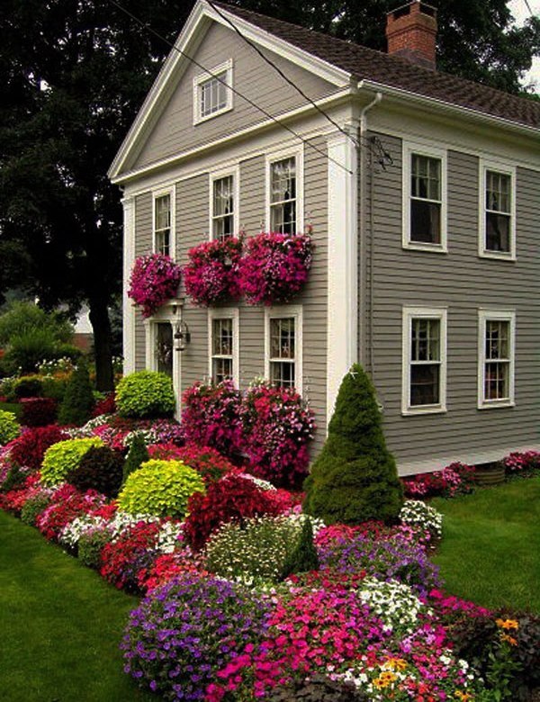 flower-bed-in-front-of-house-pictures-87_10 Цветна леха пред къщата снимки