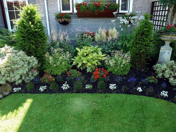 flower-bed-in-front-of-house-pictures-87_13 Цветна леха пред къщата снимки