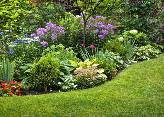 flower-bed-landscaping-pictures-83 Цветна леха озеленяване снимки
