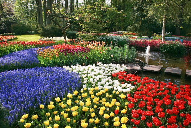 flower-bed-pictures-and-ideas-52_10 Цветна леха снимки и идеи