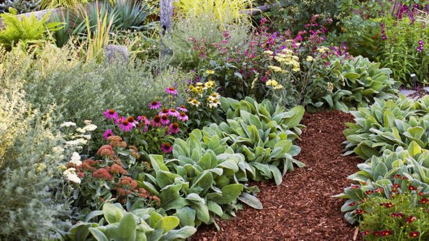 flower-bed-pictures-and-ideas-52_18 Цветна леха снимки и идеи
