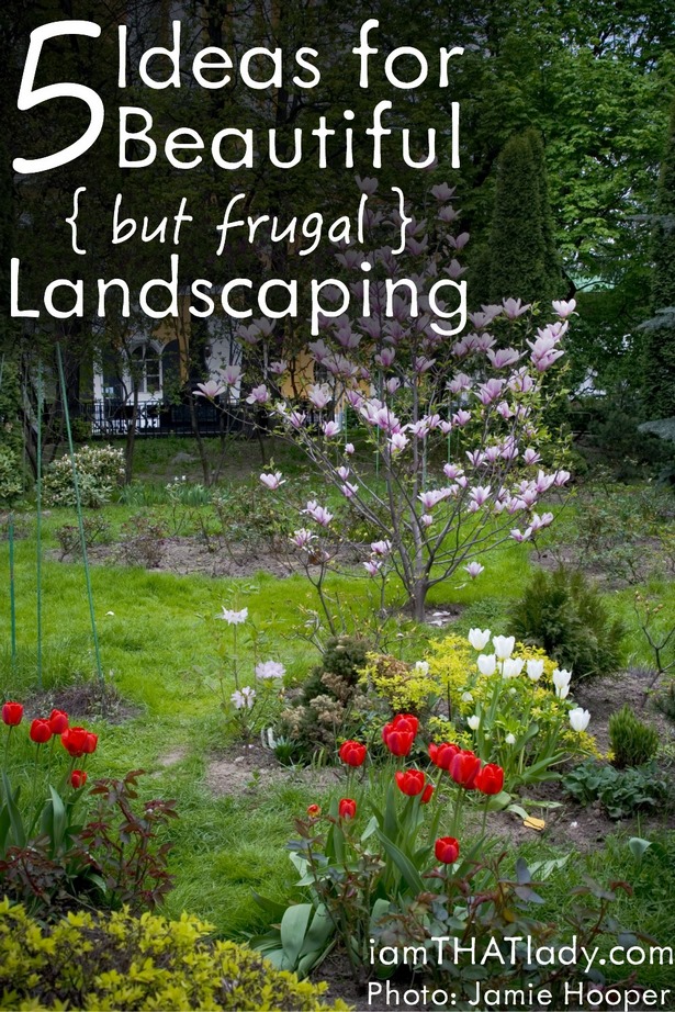 frugal-landscaping-ideas-04_5 Пестеливи идеи за озеленяване