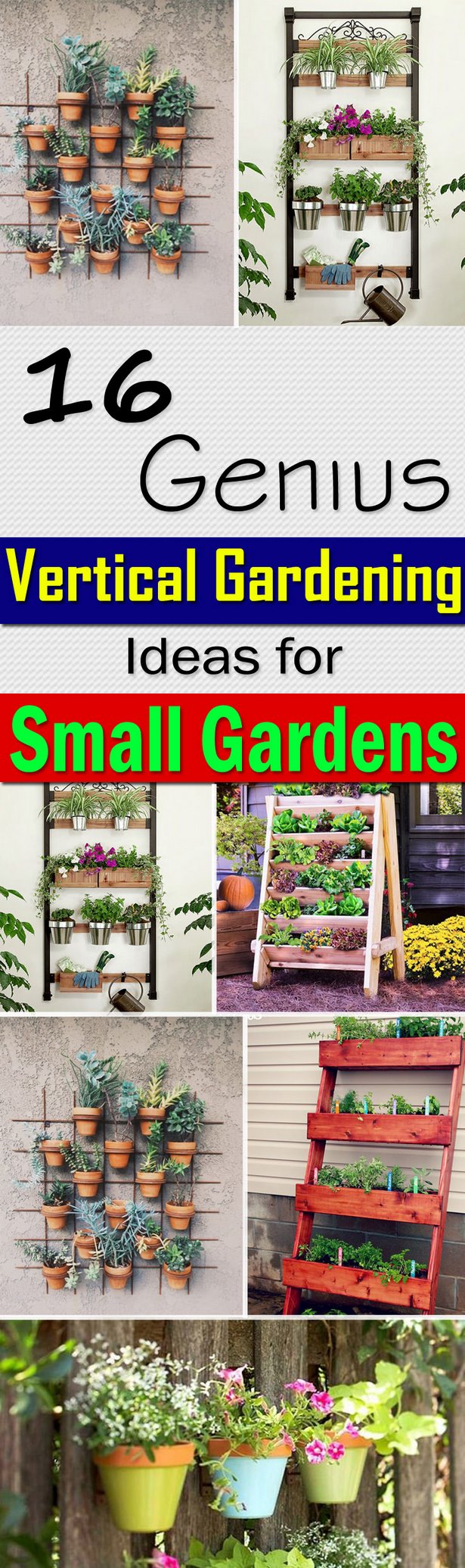 ideas-to-plant-in-small-gardens-85_18 Идеи за засаждане в малки градини