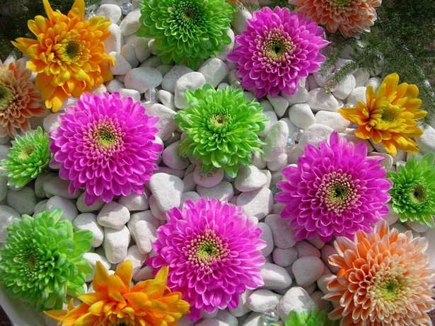 images-of-flower-garden-designs-42_10 Снимки на цветни градински дизайни