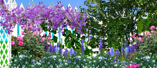 images-of-flower-garden-designs-42_9 Снимки на цветни градински дизайни