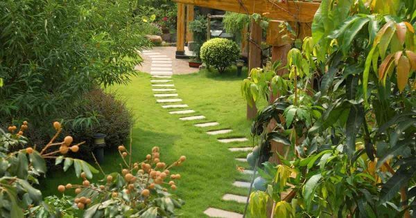landscape-design-for-long-narrow-yard-82_5 Ландшафтен дизайн за дълъг тесен двор
