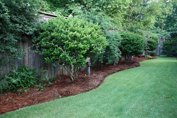 landscaping-a-long-narrow-yard-72_9 Озеленяване на дълъг тесен двор
