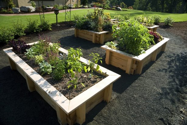 landscaping-ideas-for-dirt-yard-56_16 Озеленяване идеи за мръсотия двор