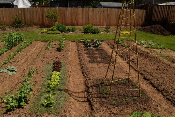 landscaping-the-backyard-ideas-17_11 Озеленяване на задния двор идеи