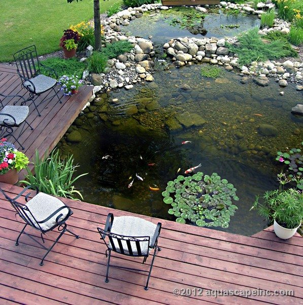 most-beautiful-backyard-gardens-60_4 Най-красивите градини задния двор