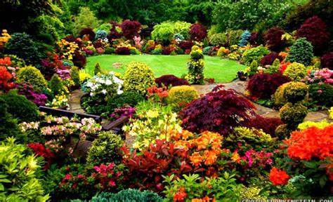 most-beautiful-backyard-gardens-60_9 Най-красивите градини задния двор