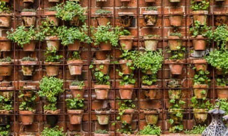 nice-cheap-garden-ideas-14_7 Хубави евтини идеи за градина