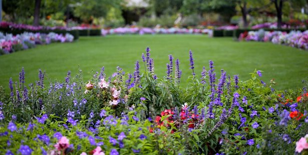 photos-of-flower-garden-designs-40_10 Снимки на цветни градински дизайни