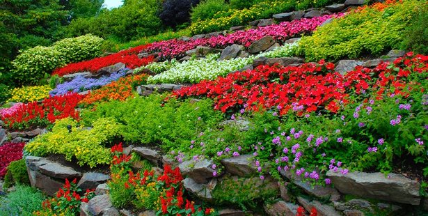 photos-of-flower-garden-designs-40_4 Снимки на цветни градински дизайни