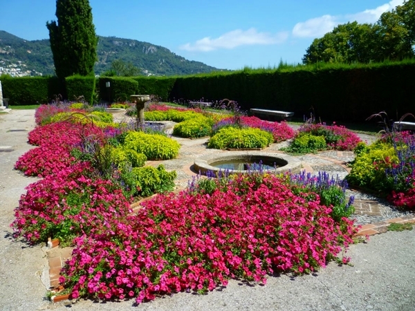photos-of-nice-gardens-40_12 Снимки от Ница градини