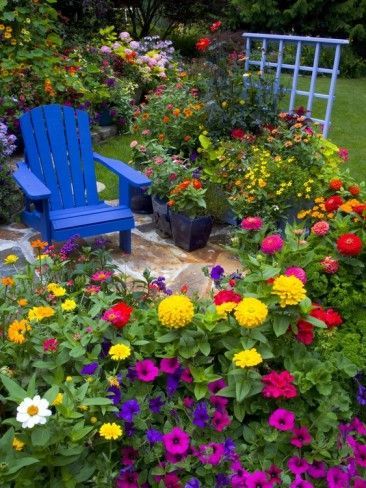 Снимки на цветни градини в задния двор