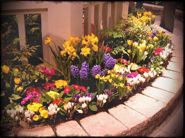pictures-of-backyard-flower-gardens-62_8 Снимки на цветни градини в задния двор