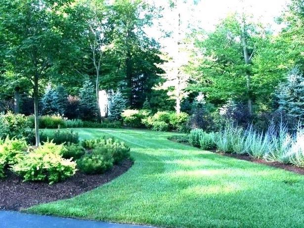 privacy-landscaping-ideas-for-small-yards-77_11 Идеи за озеленяване на малки дворове