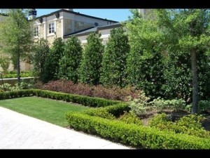 privacy-landscaping-ideas-for-small-yards-77_5 Идеи за озеленяване на малки дворове