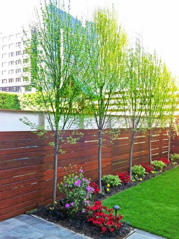 small-fenced-backyard-landscaping-39_12 Малък ограден двор озеленяване
